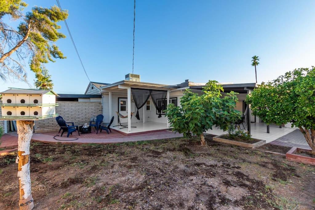 New Midtown Modern Studio With Backyard Phoenix Eksteriør bilde